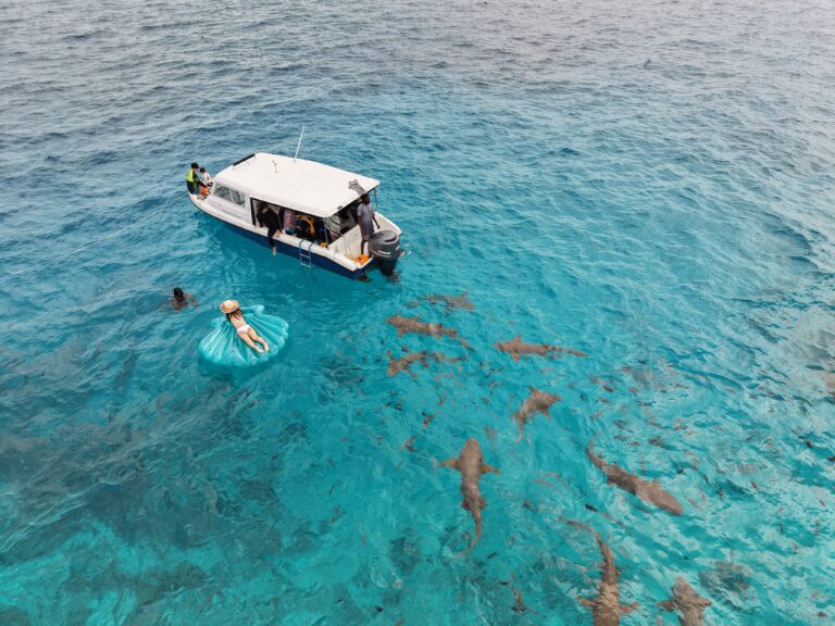 playplaymaldives Maafushi excursion shark bay snorkeling8