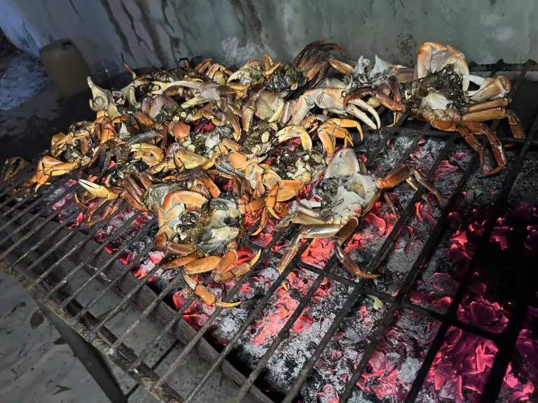 playplaymaldives rasdhoo local island excursion bbq night