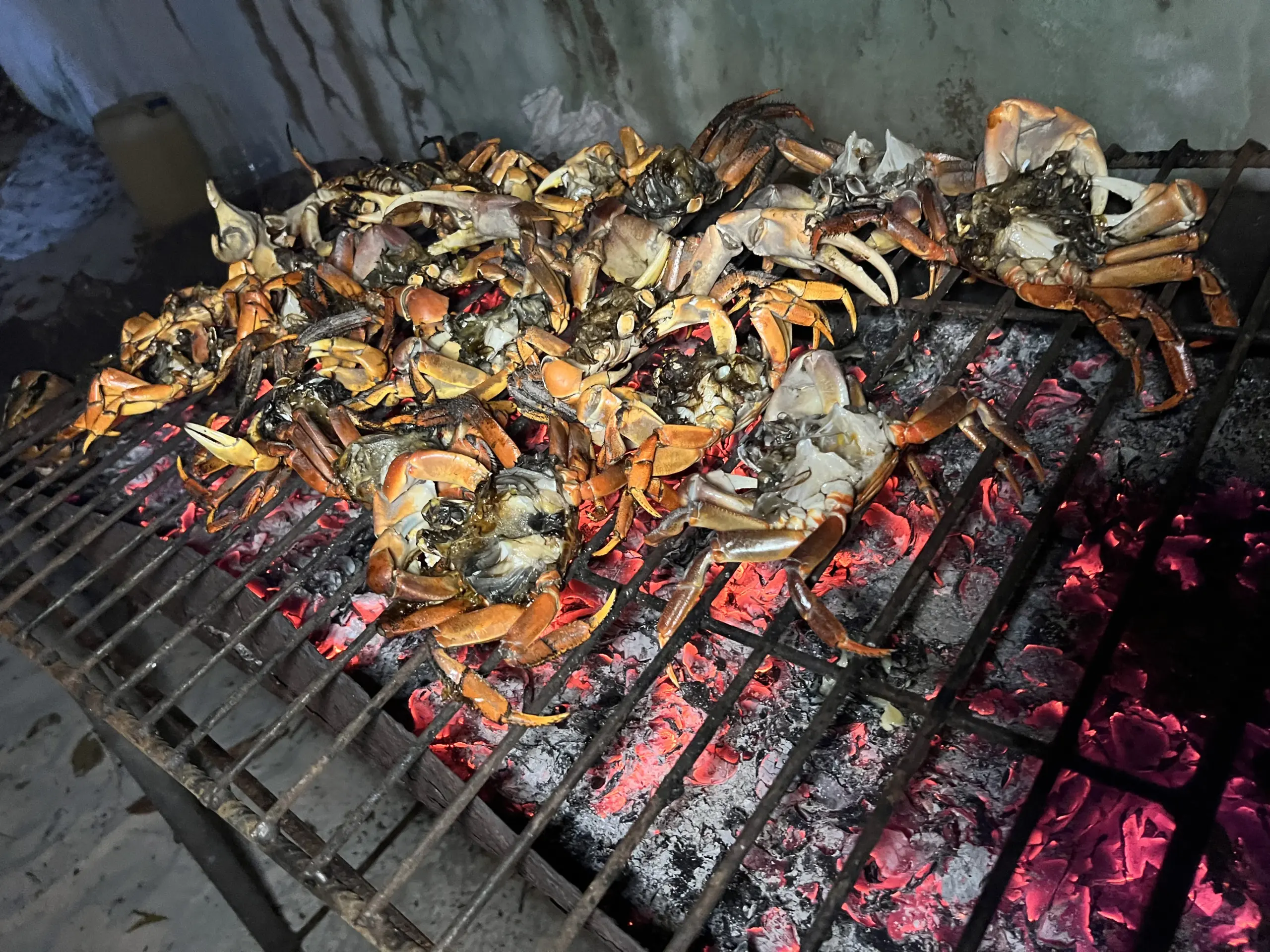 playplaymaldives rasdhoo local island excursion bbq night