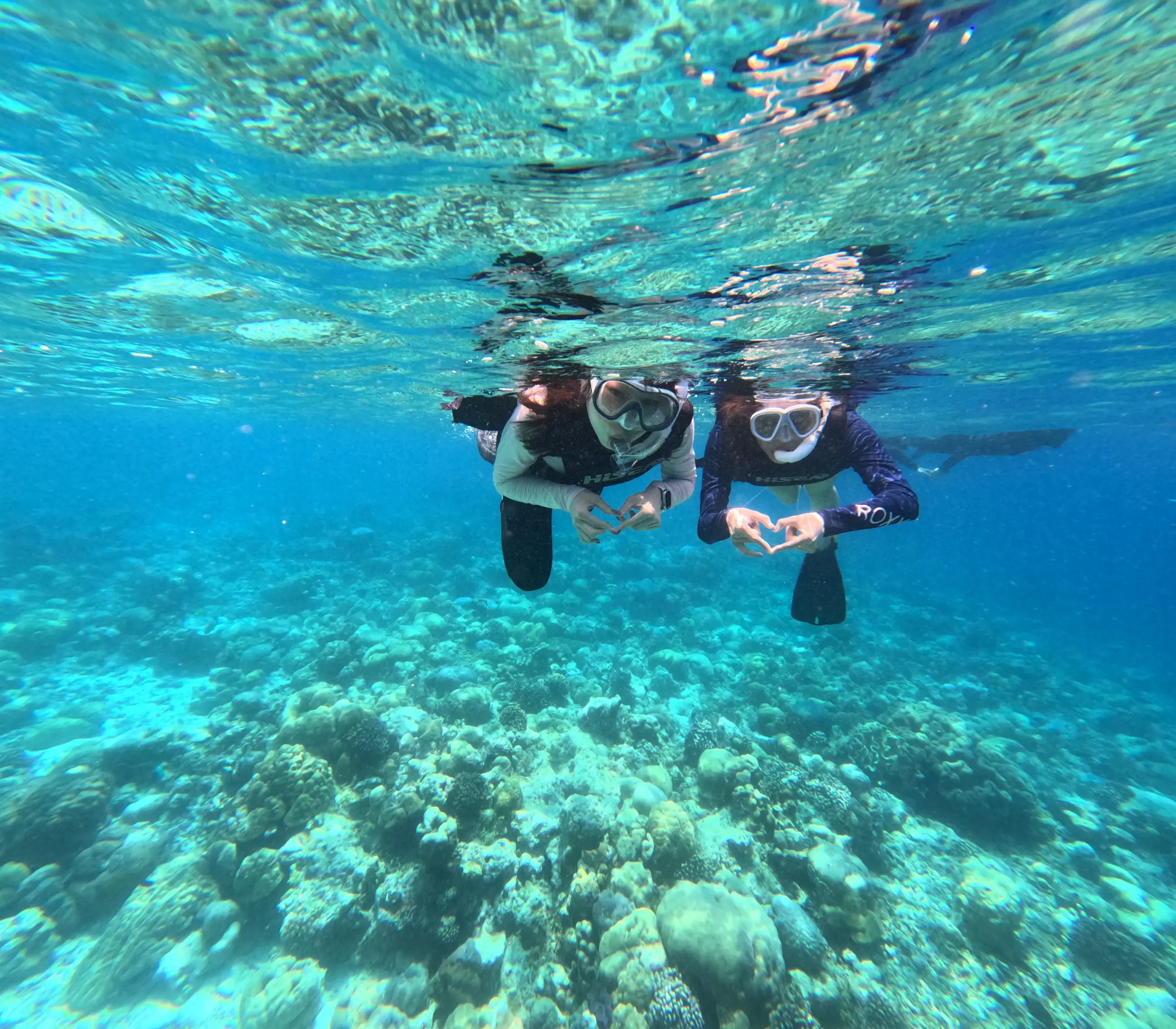 playplaymaldives rasdhoo local island excursion snorkeling under water