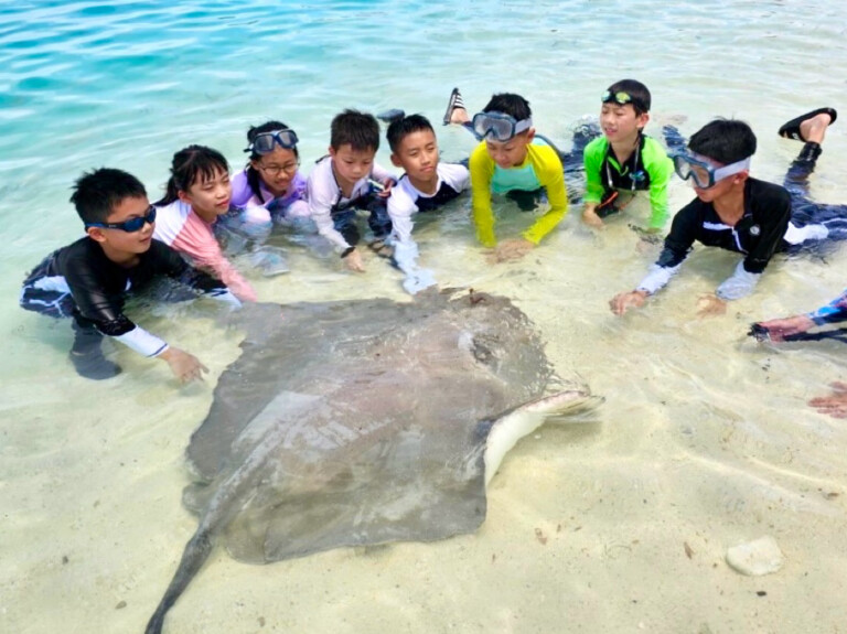 兒童在淺海中圍著一條魟魚