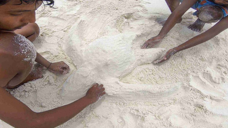 Dharavandhoo_Hanifaru_玩轉馬爾地夫_居民島_22