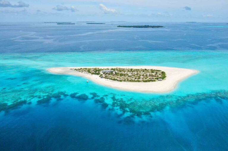 Dharavandhoo_Hanifaru_玩轉馬爾地夫_居民島_9