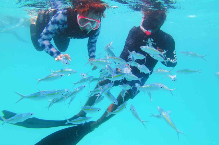 Rasdhoo_玩轉馬爾地夫_居民島_15