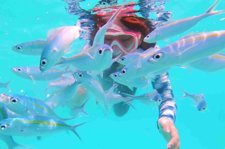 Sandbank_Snorkeling_Rasdhoo_玩轉馬爾地夫3
