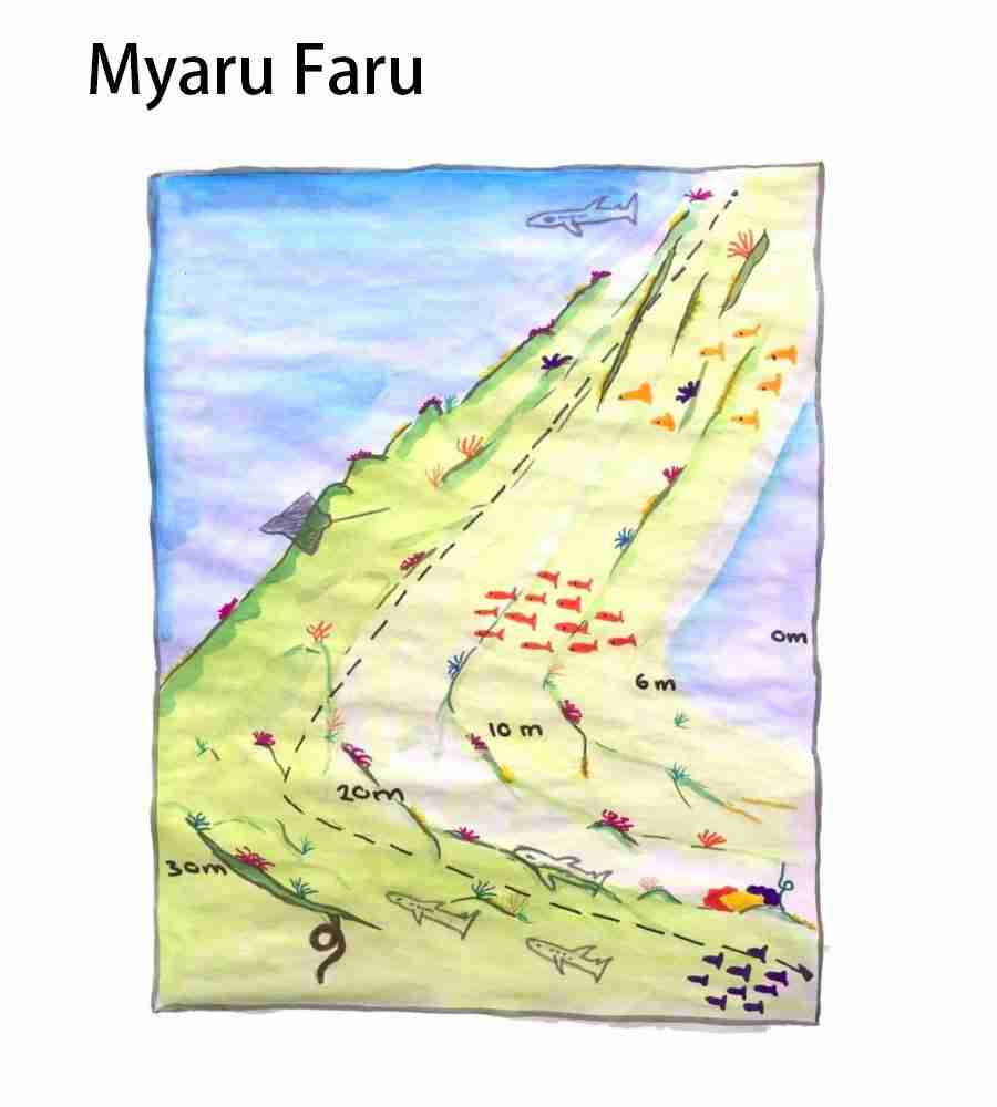 divesite_Maafushi_玩轉馬爾地夫31