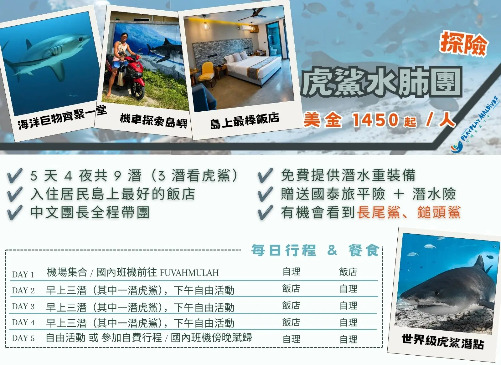 馬爾地夫虎鯊保證班：直飛 Fuvahmulah 享受 100% 目擊率的震撼 Canva 行程第一頁