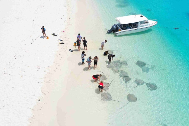 shark-bay-Maafushi-玩轉馬爾地夫12