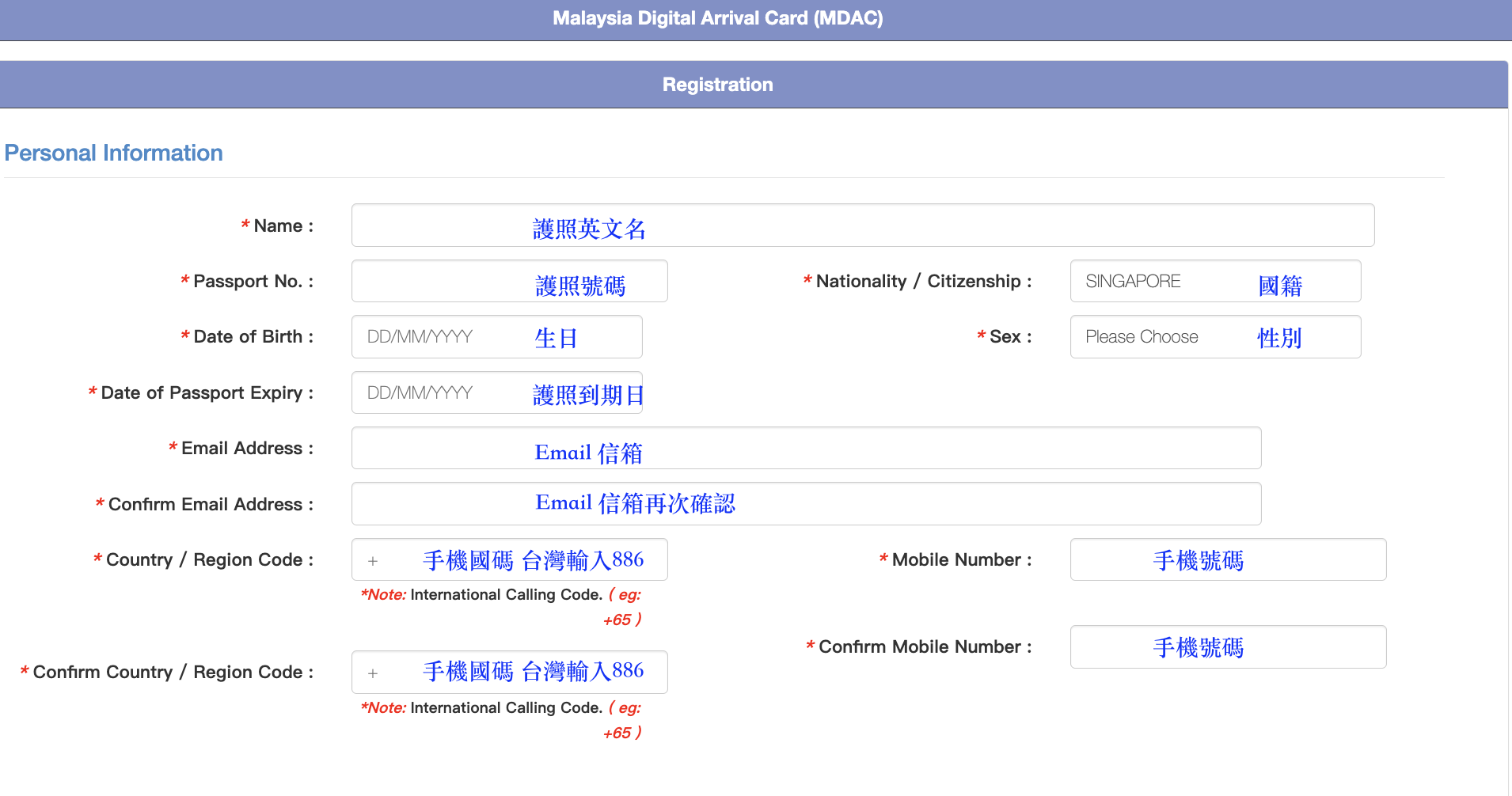 馬來西亞入境簽證 2 吉隆坡入境簽證申請8