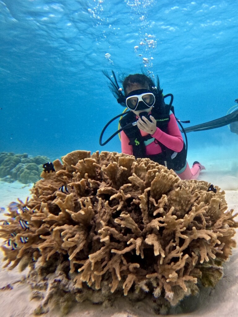 馬爾地夫豐盛4